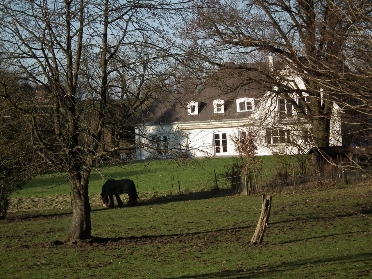 Vue depuis le bois